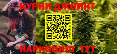 гидра Моздок